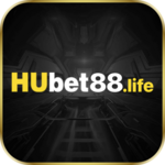 hubet88life is swapping clothes online from 