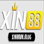 xin88vnblog is swapping clothes online from 