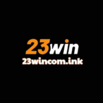 23wincomink is swapping clothes online from 