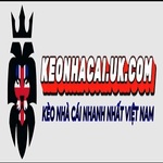 keonhacaiukcom1 is swapping clothes online from 