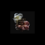 maisonlafleur is swapping clothes online from 