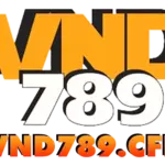 vnd789 is swapping clothes online from 