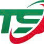 napthaison is swapping clothes online from 