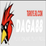 Đá Gà 88 is swapping clothes online from 