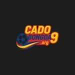 cadobongda9org is swapping clothes online from 