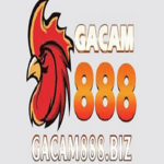 gacam888biz is swapping clothes online from 
