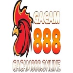 gacam888online is swapping clothes online from 