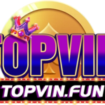 topvinfun is swapping clothes online from 