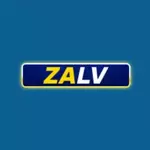 zalvcity is swapping clothes online from 