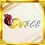 sv3689net is swapping clothes online from 