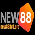 new888v0pro is swapping clothes online from 