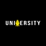 trapuniversity is swapping clothes online from 