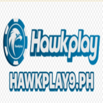 Hawkplay is swapping clothes online from 