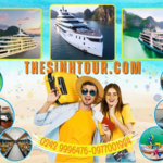 thesinhtour is swapping clothes online from 