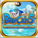 bancah5 is swapping clothes online from 