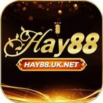 HAY88 uk  N is swapping clothes online from 
