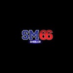 sm66co is swapping clothes online from 