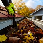Cleaning Solution For Gutters Miami is swapping clothes online from 