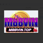 m88vintop is swapping clothes online from 