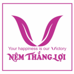 nemthangloiweb is swapping clothes online from 