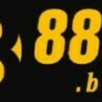 888bboats is swapping clothes online from 