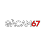 gacamtructiep is swapping clothes online from 