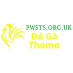 dagapwsts is swapping clothes online from 