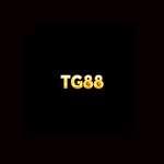 TG88 is swapping clothes online from 
