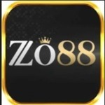 zo88mx is swapping clothes online from 