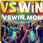 vswinmom is swapping clothes online from 