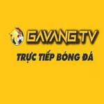 gavangtvspace is swapping clothes online from 