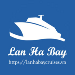 lanhabaycruise is swapping clothes online from 