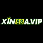 xin88avip is swapping clothes online from 