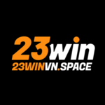 23winvnspace is swapping clothes online from 