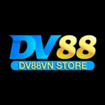 dv88vnstore is swapping clothes online from 
