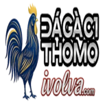 ĐÁ GÀ C1 | TRỰC TIẾP ĐÁ GÀ  THOMO XEM MIỄN PHÍ is swapping clothes online from 