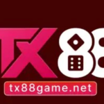 tx88gamenet1vf is swapping clothes online from 