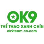 ok9teamcncom is swapping clothes online from 