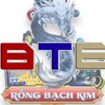 Rồng bạch kim is swapping clothes online from 