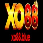 Xo88blue is swapping clothes online from 