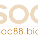 soc88bidka is swapping clothes online from 