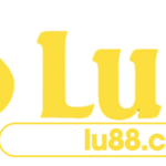 lu88cashkd is swapping clothes online from 