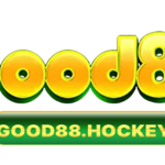 good88hockeyum is swapping clothes online from 