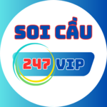 soicau247vip is swapping clothes online from 