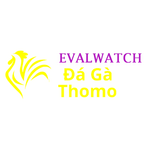 Đá Gà Trực Tiếp Thomo is swapping clothes online from 