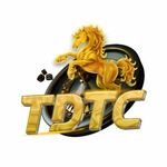 tdtcvu is swapping clothes online from 