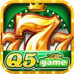 q5 game is swapping clothes online from 