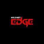 wildnetedge is swapping clothes online from 