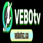 vebotvzco is swapping clothes online from 