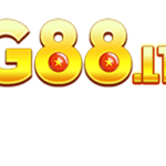 tg88ltd is swapping clothes online from 